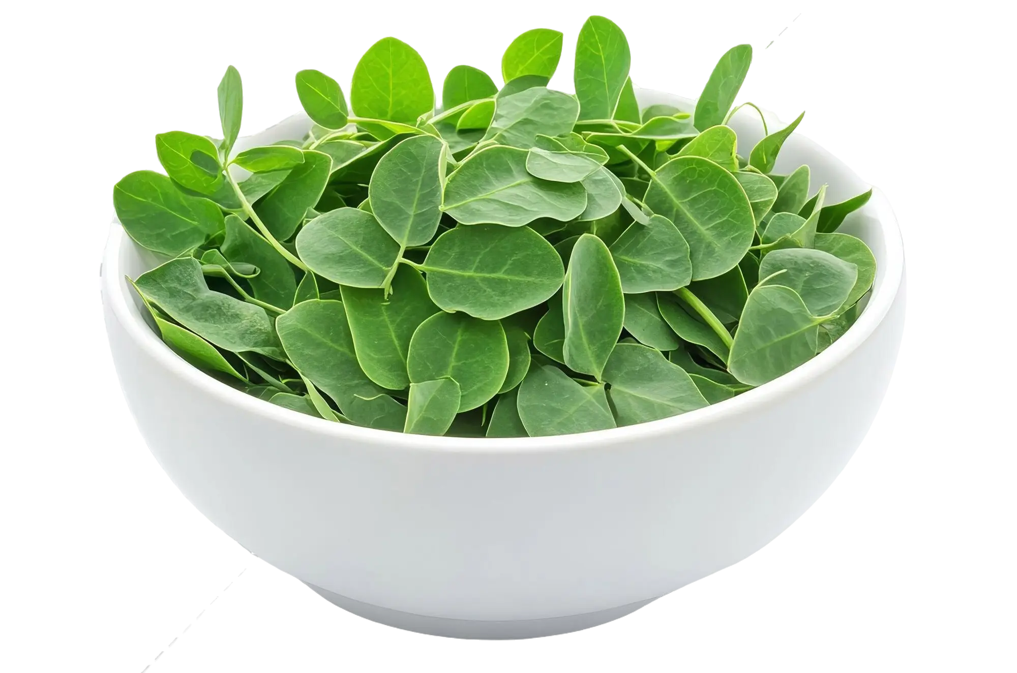 Shanara Organics Pvt Ltd Moringa Powder 250g pack